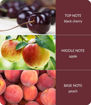 Picture of H&H FRAGRANCE DIFFUSER SWEET BLACK CHERRIES